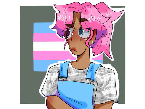 #4 Transgender [ people as pride flags ]