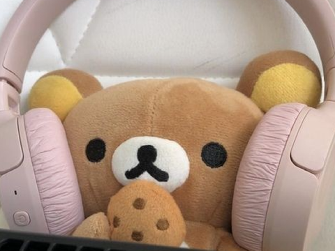 bear aesthetic 