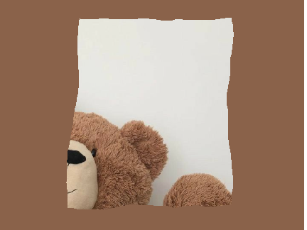 teddy