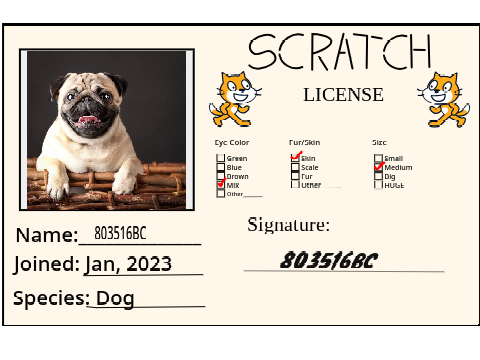 My professional SCRATCH LICENSE!
