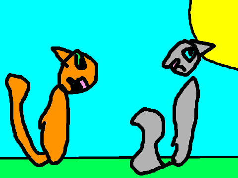Cloudpaw goes missing