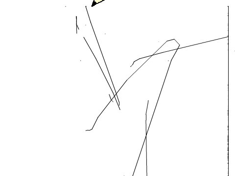 Doodle