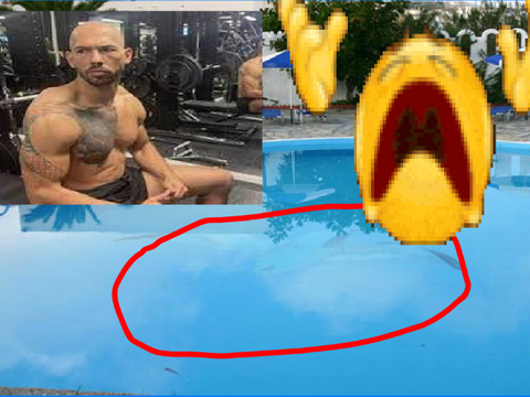 When Andrew Tate finds out his pool is made of water