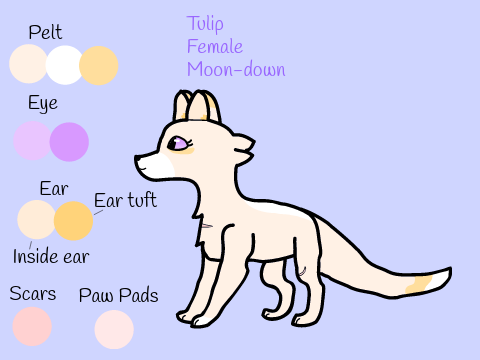 Seasons Cameo: Tulip!