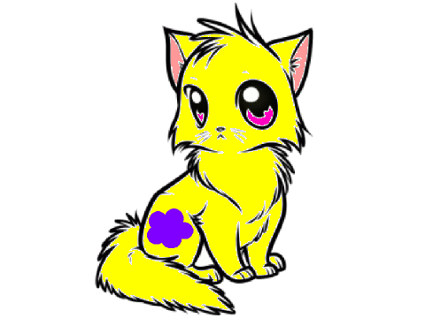 50 Followers Cute Cat DTA