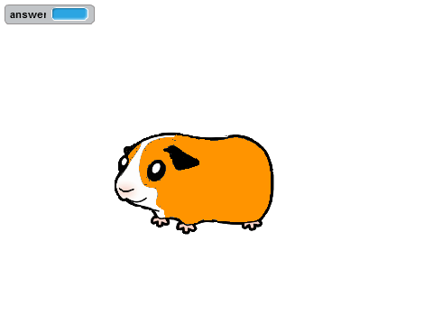 Talk With Peanut
