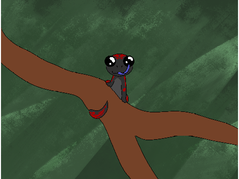 A Little Salamander 