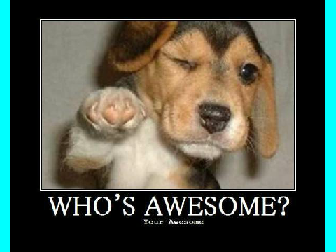 Who's Awesome?