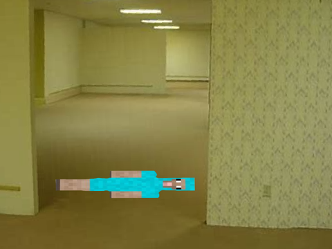 Blueshep goes to the Backrooms