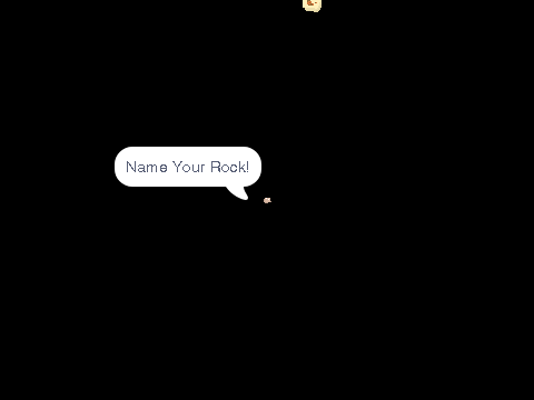 Option 1 - Pet Rock