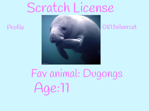 License 
