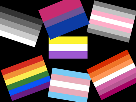 Signe et remix! Pride Flags // Drapeaux lgbtqaip+ // Remix&sign if you support lgbtqaip+