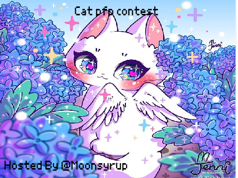 Cat pfp contest CLOSED