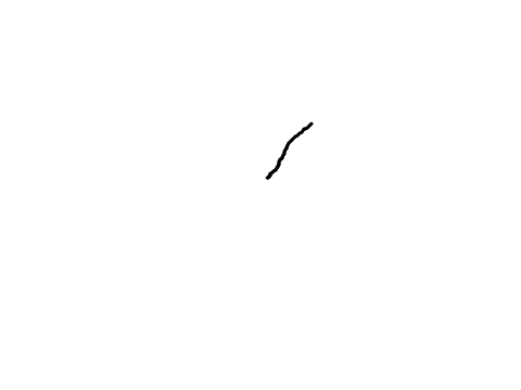 Cat SpeedDraw