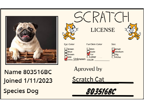 Make Your Own Scratch License remix