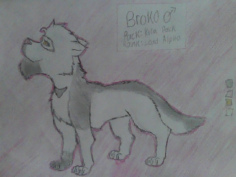 Broko Reference Sheet