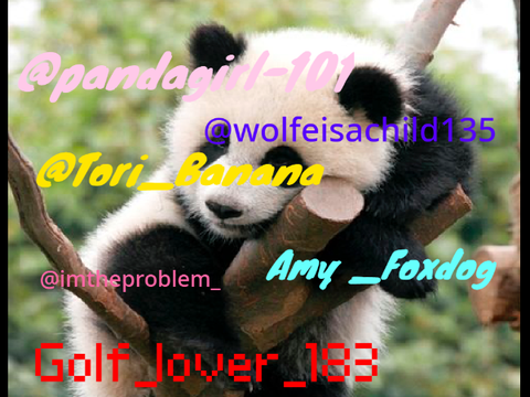 Pls sign if you don’t want pandas to get hurt!!!!!!!! remix remix remix remix remix