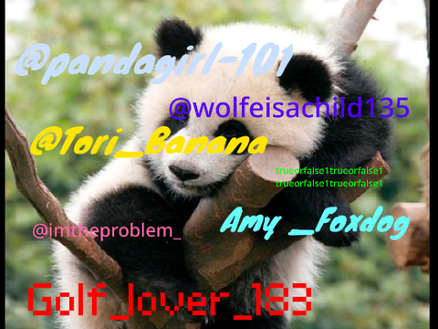 Pls sign if you don’t want pandas to get hurt!!!!!!!