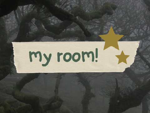 my room!!