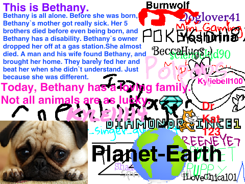 Sign If You Hate Animal Abuse! remix please! remix remix remix remix remix remix remix-2