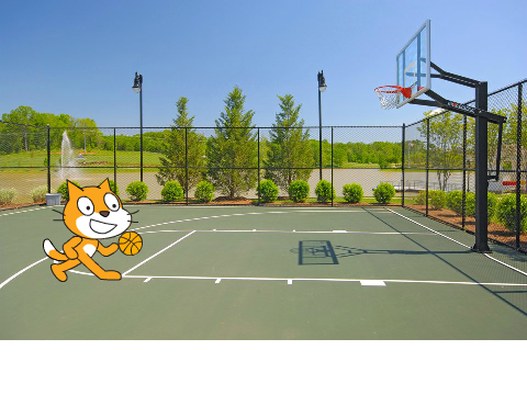 Awesome Basketball Cat