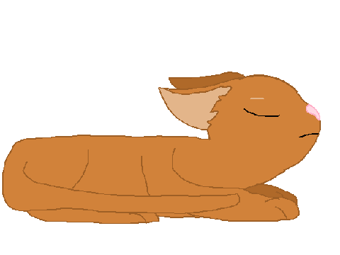 Practice Animation 1