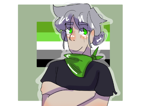 #6 aromantic [ pride flags as people ]