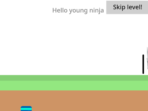 Ninja quest