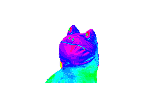 rainbow fwog remix