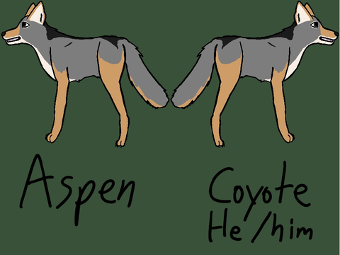 Aspen Ref - HC