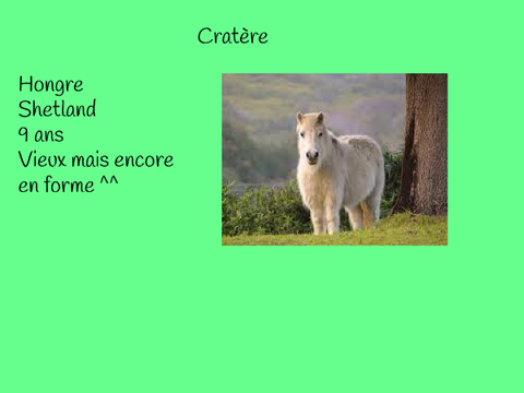 Poneys Centre Équestre de la GorgeTremblante