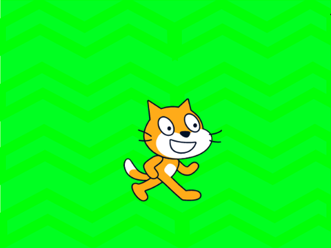 Weird Cats!