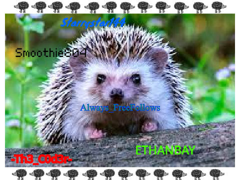 Sign here if you love hedgehog! remix remix remix remix