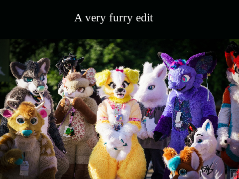 Haters will never take us down! (Furry Fandom edit)