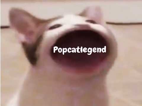 Banner | Popcatlegend  