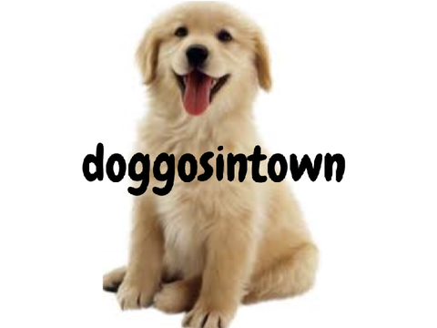 Banner | doggosintown