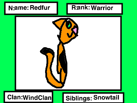 My warrior cat