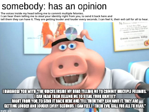 The voices in my head in a nutshell