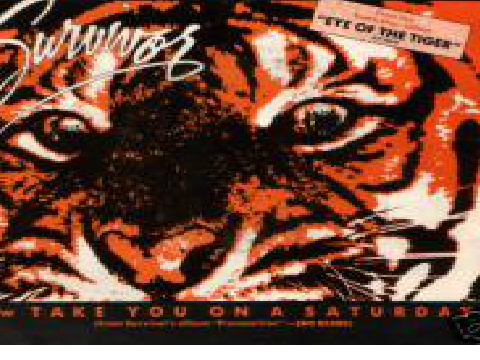 Eye of The Tiger