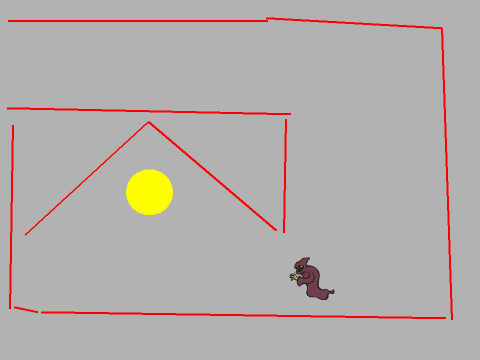 The Maze