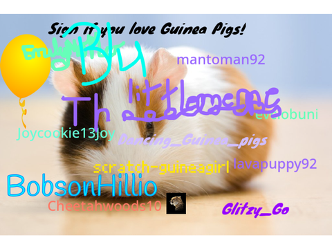Sign If You Love Guinea Pigs! Remix, remix, remix!!! remix remix remix