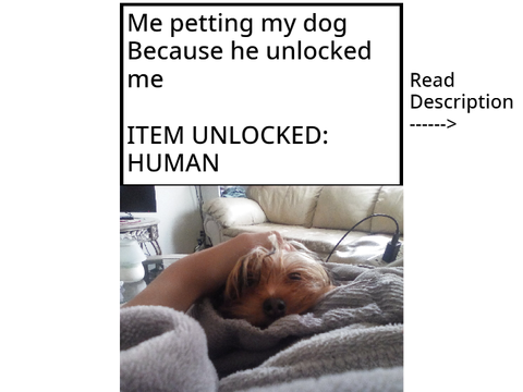 me petting my dog original remix