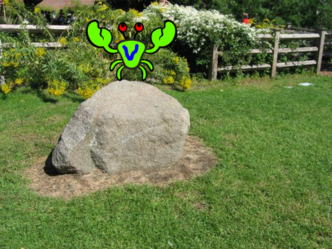 Ted's dream (to make a sprite jump).