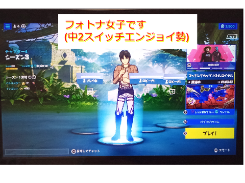 なぜかスイッチを撮った