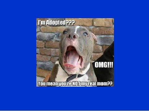 He's Adopted