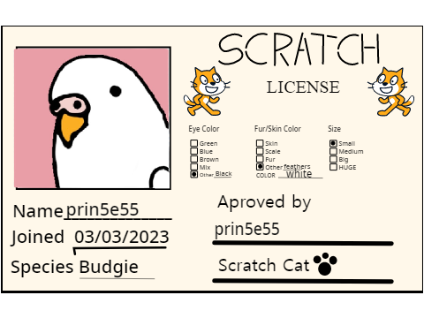 Make Your Own Scratch License