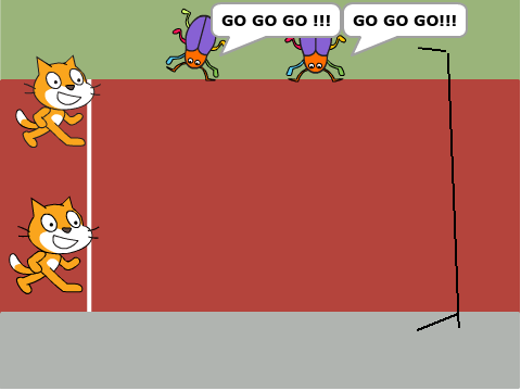 cat race!!!
