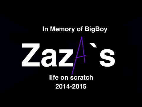 In Memory of Bigboyzaza`s Life on Scratch
