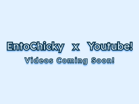 EntoChicky ✖ Youtube!