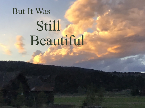 But It Was Still Beautiful